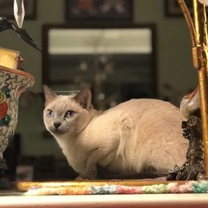 Meet your Posher, Leni